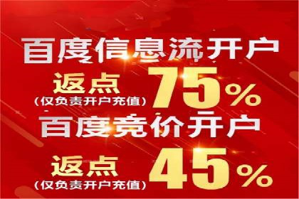 案例解读：SEO与SEM优化助力电商崛起